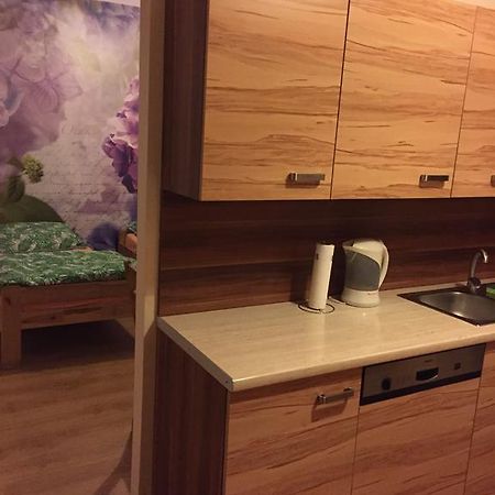 Kawalerka Fredry 3/13 Apartment Познан Стая снимка