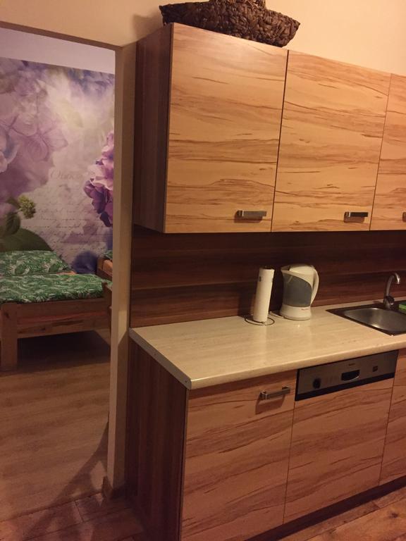 Kawalerka Fredry 3/13 Apartment Познан Стая снимка