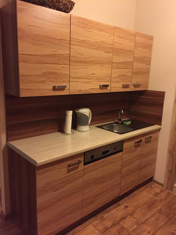 Kawalerka Fredry 3/13 Apartment Познан Стая снимка